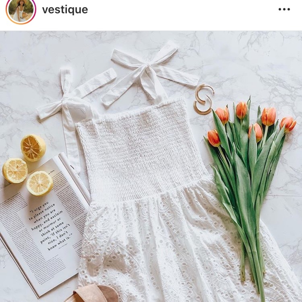 NWT vestique dress